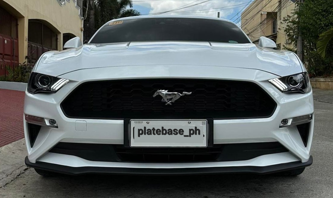 Plate adaptors for Ford Mustang